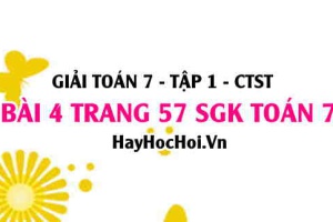 Giải bài 4 trang 57 Toán 7 Tập 1 SGK Chân trời sáng tạo